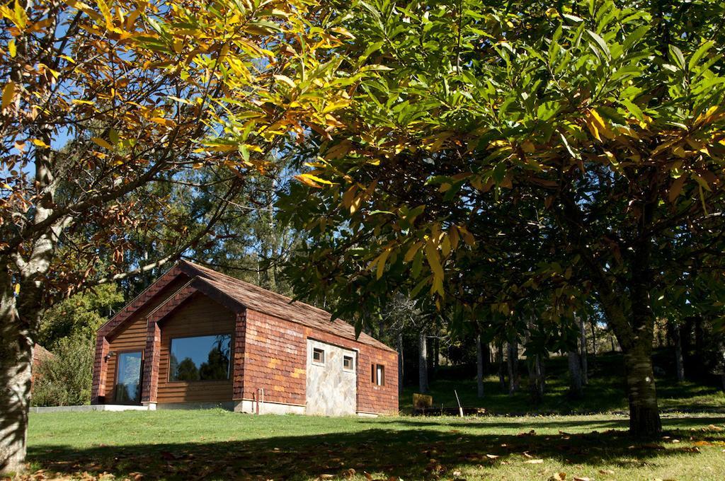 Cabañas Patagonia Lefun Pucón Exterior foto